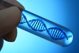 dna 1